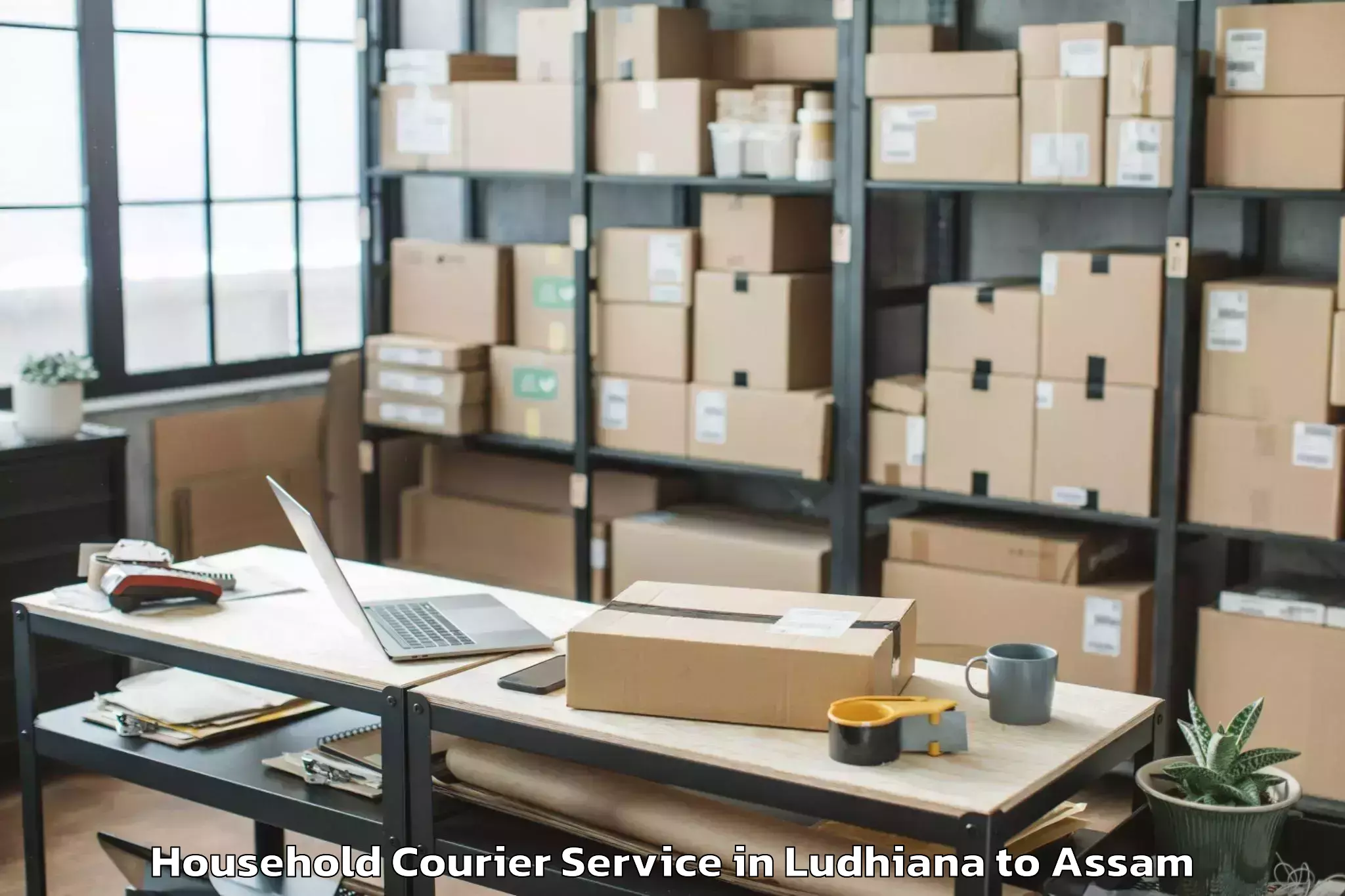 Quality Ludhiana to Raha Household Courier